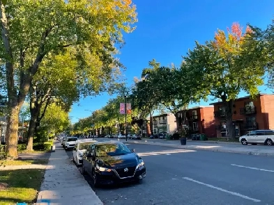 4 1/2 rénové - Montreal-Nord , secteur recherche, dispo. 1 nov.