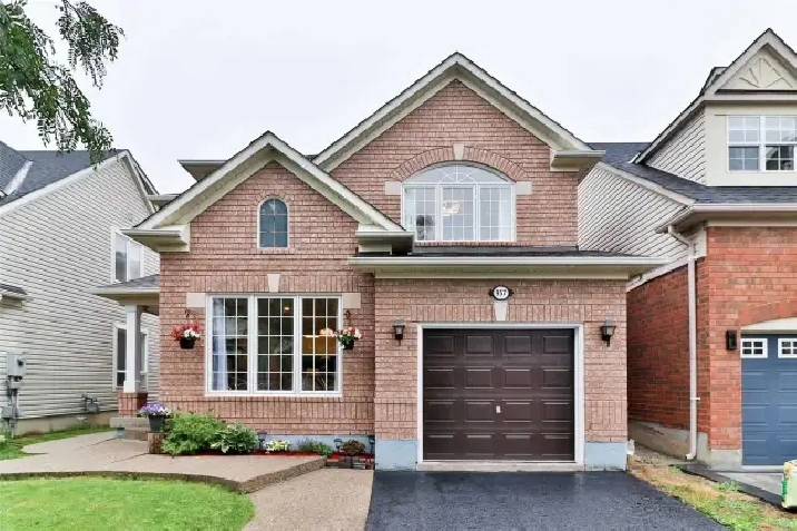 Basement Apartment with separate entrance for rent