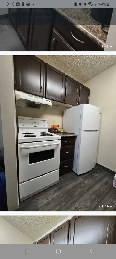 1 bedroom apartment for sublease