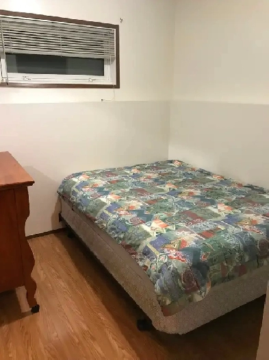 Roommate