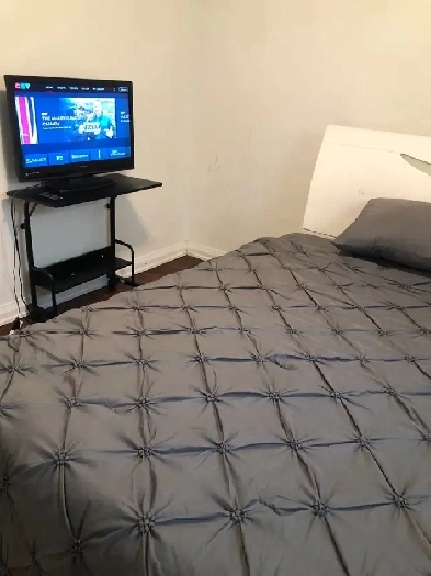 Gorgeous and Furnished Main Floor Room in Scarborough for Rent