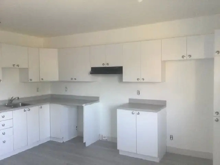 41/2. Longueuil ( St-Hubert ).   1290$  mois.
