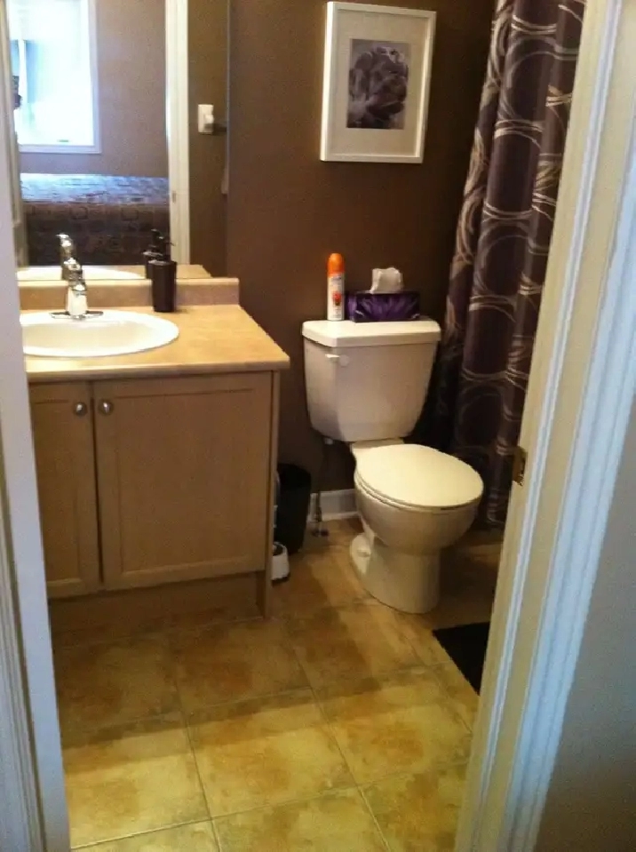 Photo 4