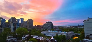 1 1/2 centre ville  Montréal vue magnifique près de tout