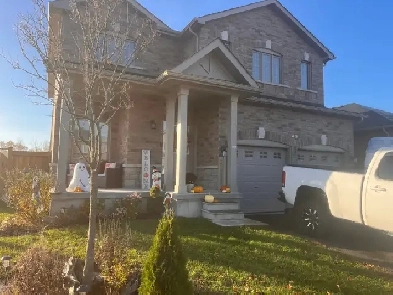 house for rent
