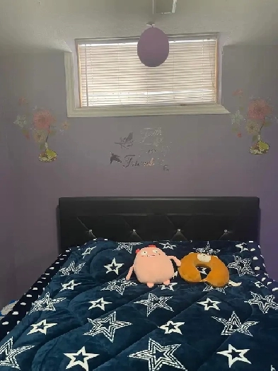 Rooms for Rent Near Conestoga College – $450 Shared/$600 Private