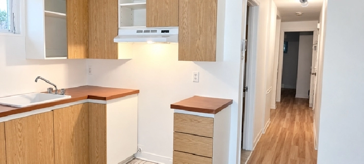 À LOUER — 3 ½ —  Plateau Mont-Royal (Montreal) dispo maintenant