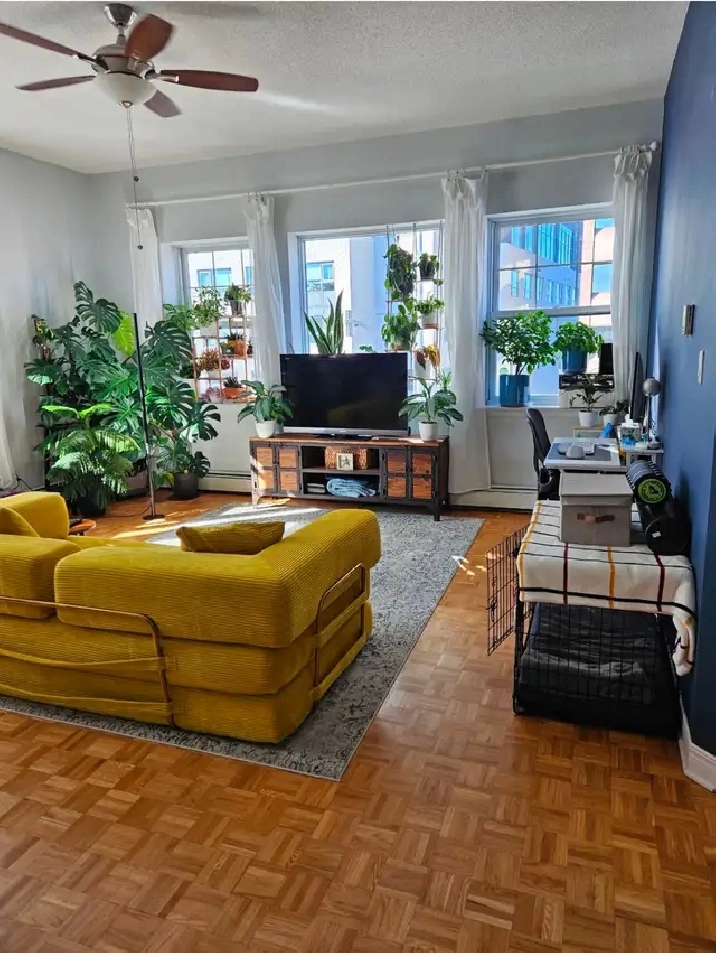 Glebe Annex Large One Bedroom