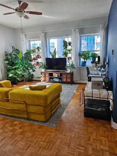 Glebe Annex Large One Bedroom
