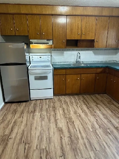 2 Bedroom Basement suite for Rent in Edson