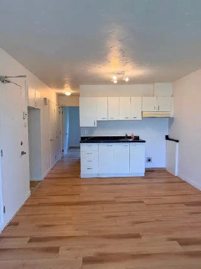 Disponible, granby près du centre commercial 3 1/2