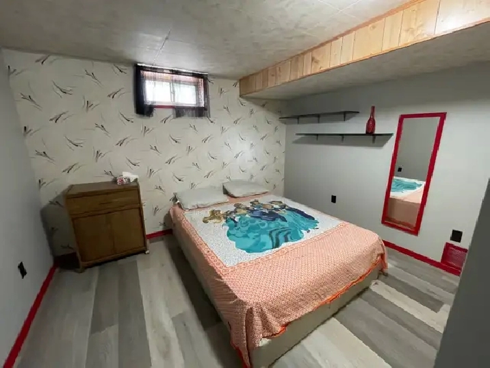 Room for rent in Basement
