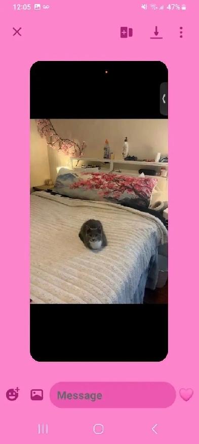one master bedroom for rent