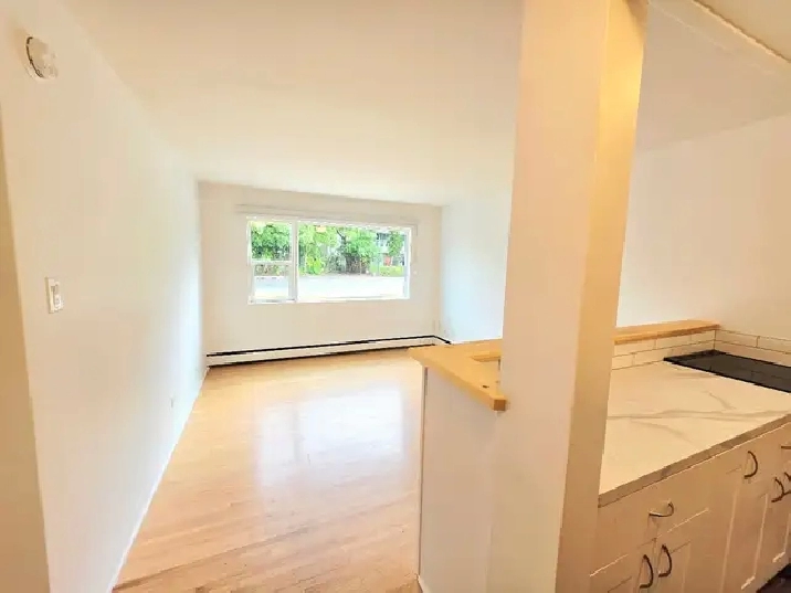 Renovated One Bedroom Suite