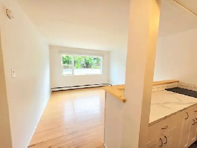 Renovated One Bedroom Suite