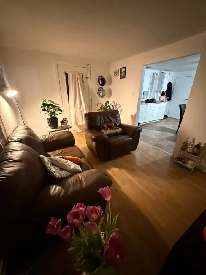 Apartement 2 chambres 1 salle de bain