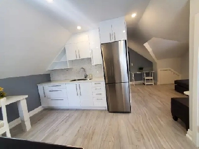 Newly renovated apartment In the Heart of Downtown Brampton.