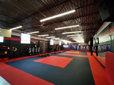 3,000 sq ft Matted Studio for Rent - Yonge & Steeles, Thornhill