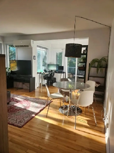 3.5   Den Apartment for Rent (PiX-IX, Montreal)