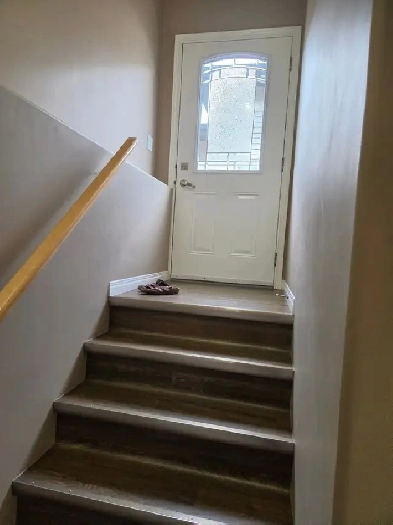 Clean Basement Suite in Stonebridge