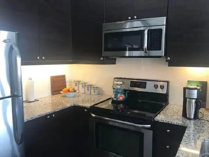 1 Den Condo For Rent