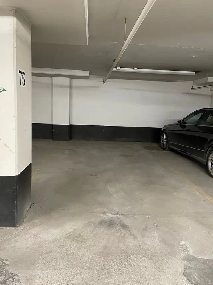 Chinatown center: A parking spot to rent