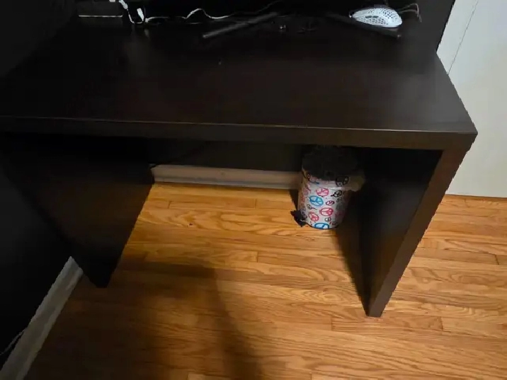 Photo 5