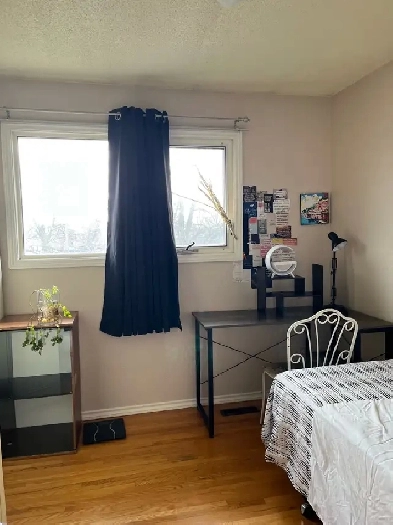 ROOM  for Rent at Maples Area