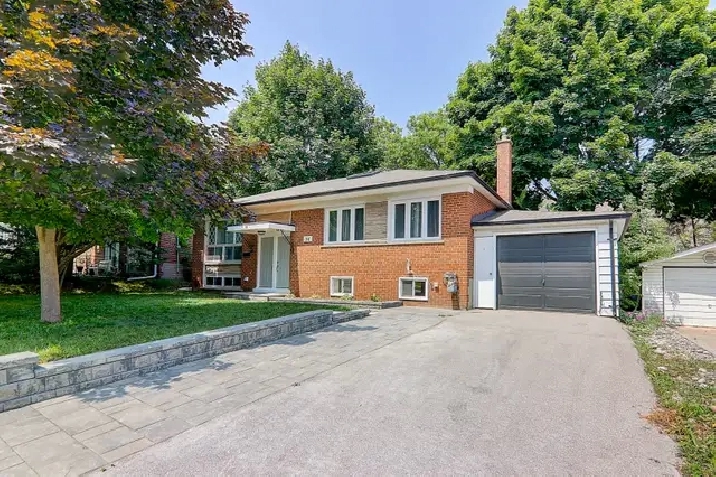 Raised Basement Apartment at Yonge and Davis Newmarket