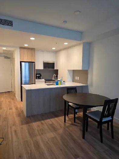 Furnished 1-Bedroom Downtown Penticton — Nov 1 to Apr 30