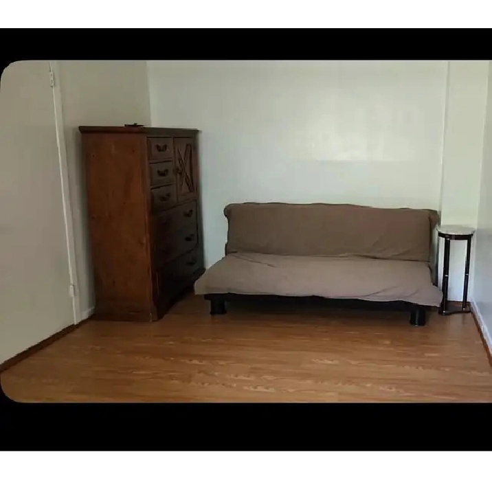 Bright and beautiful Furnished Room for Rent - $1100 Hydro  util