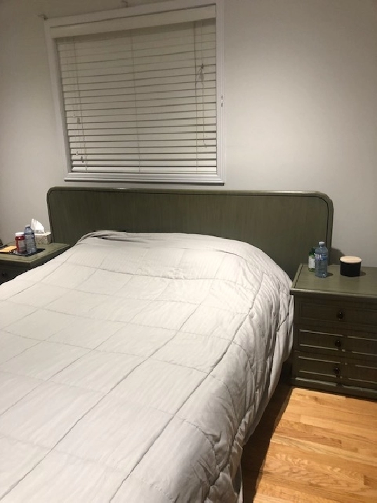 Room for Rent in Central Mississauga – Prime Location!