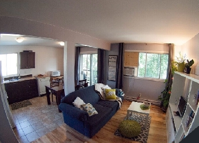 À voir Appartement 4 1/2 logement rénové près métro concorde