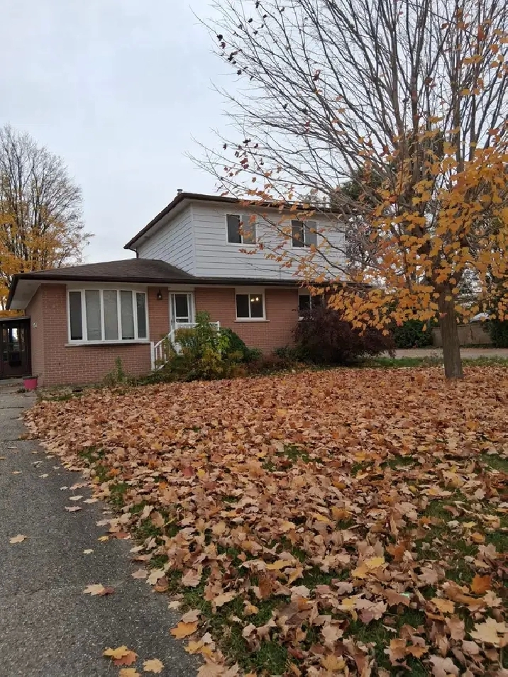 Detached House for Rent in Orangeville