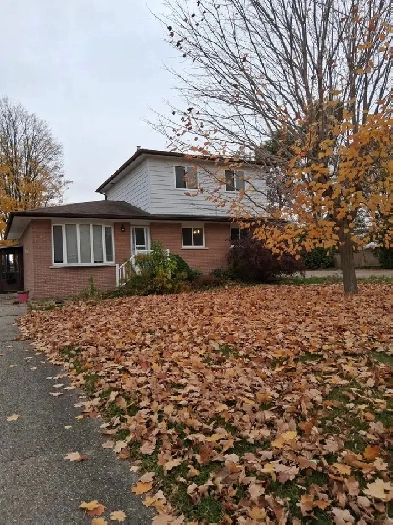 Detached House for Rent in Orangeville