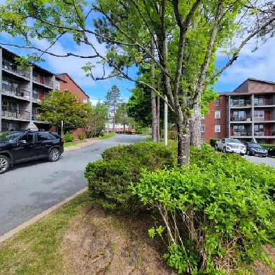 ONE bedroom Apartment for RENT - Clayton Park