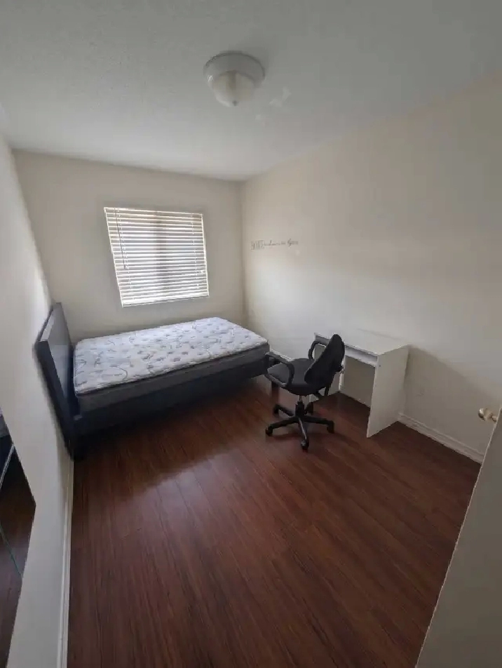 Room for Rent - YorkU Village (private washroom)