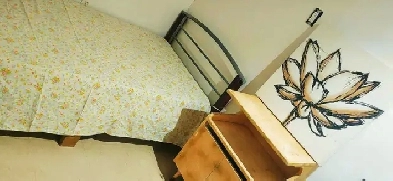 ✨Nice Furnished 2-Bed Basement | Private Entrance