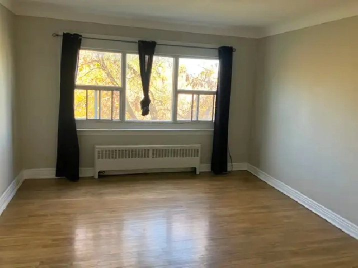 Spacious 1 bedroom apartment available for November 1