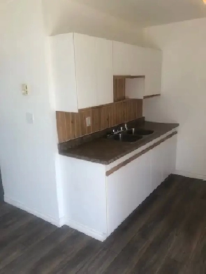 ELLIOT LAKE: 3 BR waterview Townhouse w/ garage, yard basement