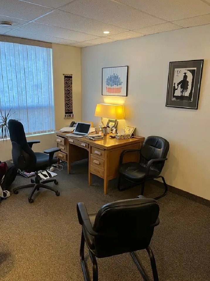 Professional Office Space