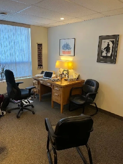 Professional Office Space