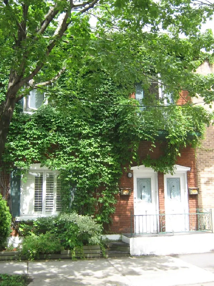 Chambre disponible au mois PLATEAU