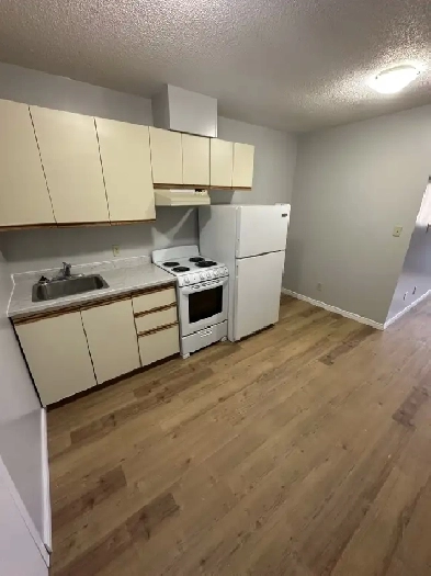 Bachelor Apartment Available Now in Minnow Lake Area