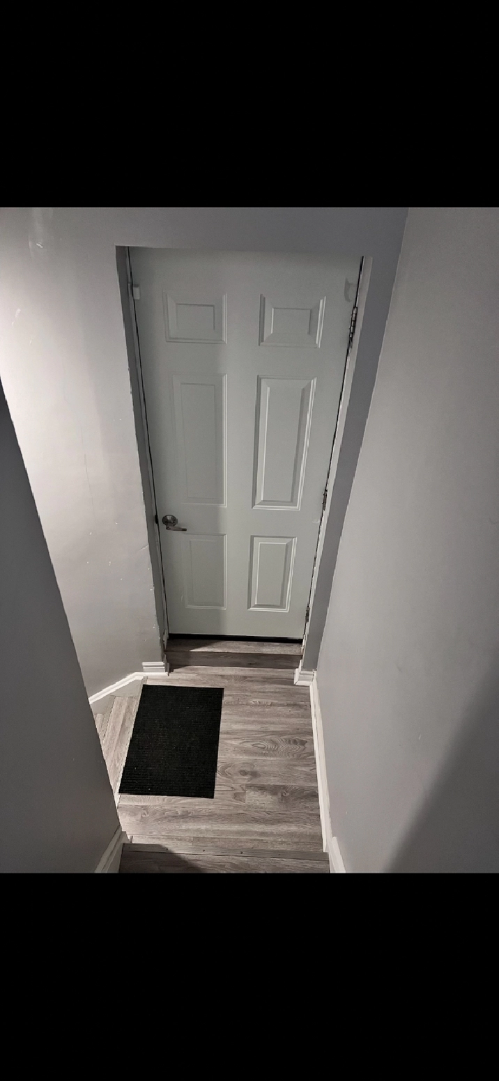 Basement for rent