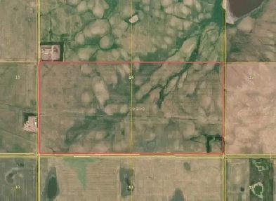 For Lease: RM of Miry Creek #229 (314 Acres)