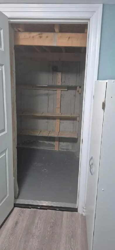 walkout basement for rent