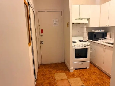 FURNISHED AND PAINTED ONE BEDROOM APARTMENT DOWNTOWN TORONTO