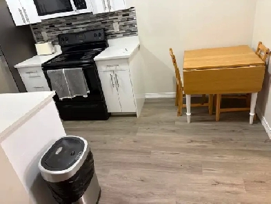 Fully renovated furnished one bed one bed condo