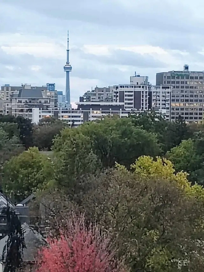 TORONTO ROOMS MIDTOWN STUDY ABROAD INTERNATIONAL STUDENT HOUSING